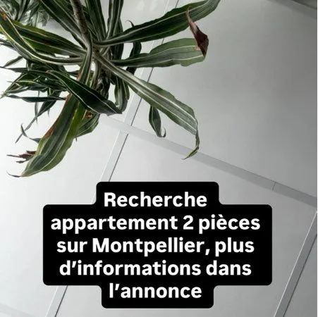 Location T2 Montpellier