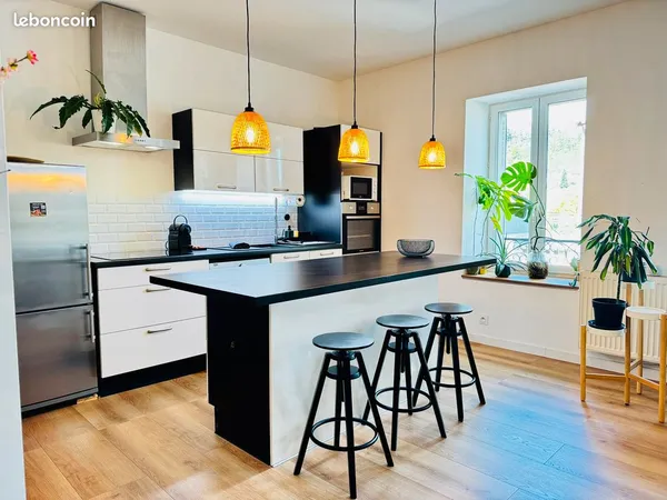 Appartement 53 m² entièrement rénové + garage 45 m²