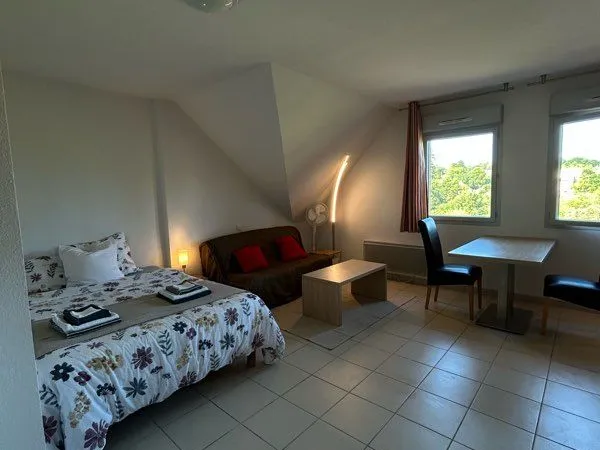 Grand studio salies de Béarn