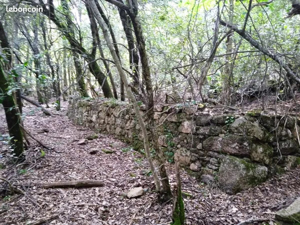 Terrain agricole