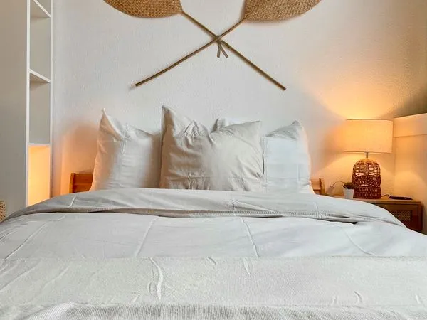 T1 meublé cosy refait à neuf - Centre/Gare de Tours - Dispo mi-novembre
