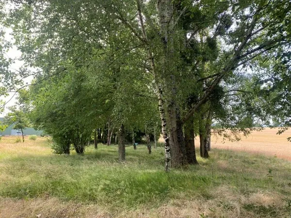 MAISON DU BAZOIS - BATIMENT SUR 2 NIVEAUX 294 m2 - Parking et terrain 4017 m2 - 71700 €