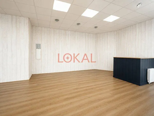 Local commercial 2 pièces 53 m²
