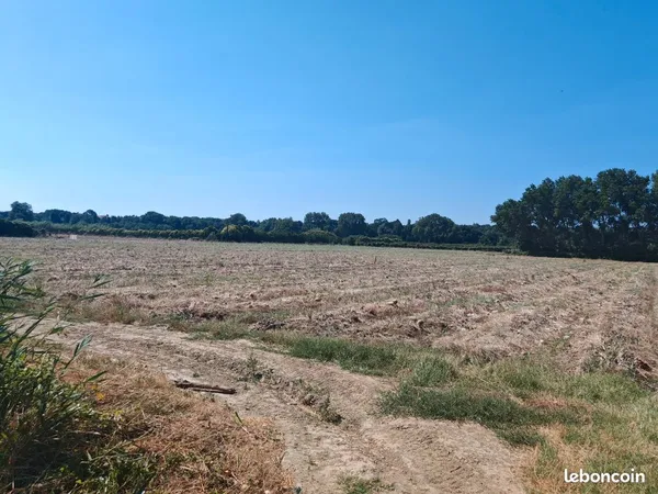 Terrain agricole