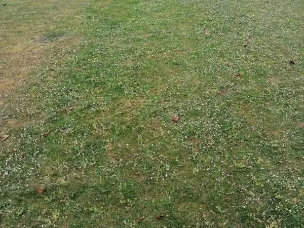 Terrain 1 081 m² Kerfourn