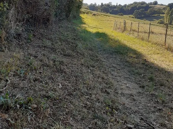 Terrain à bâtir