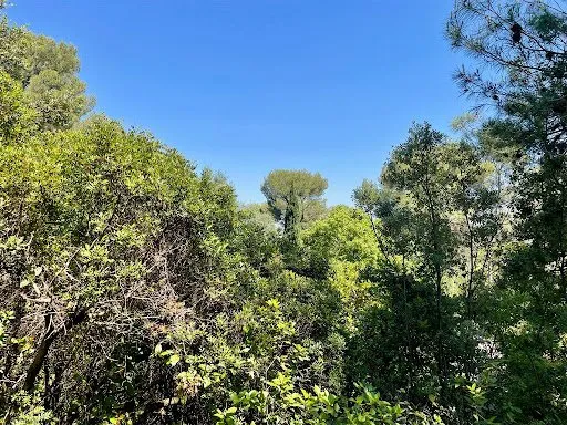 Terrain 1000 m²