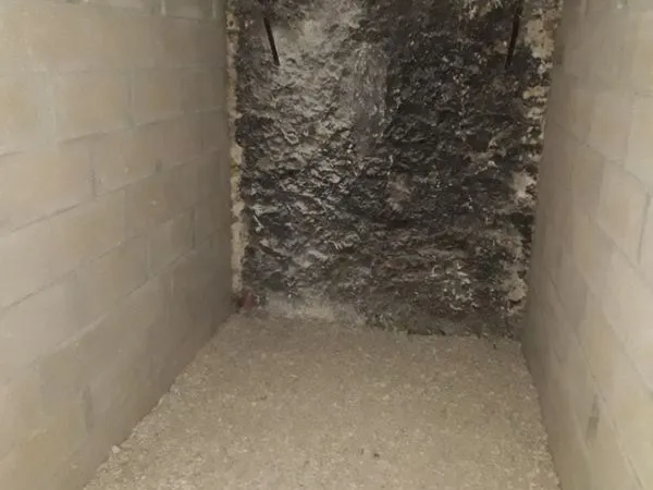 Cave à vendre 75018