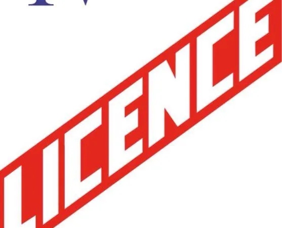 Licence IV