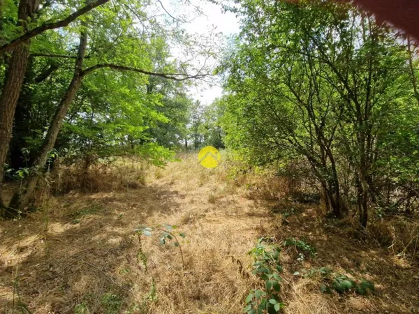 Terrain constructible de 2505 m²