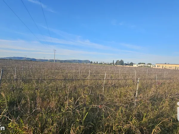 Terrain 9795 m² Codolet