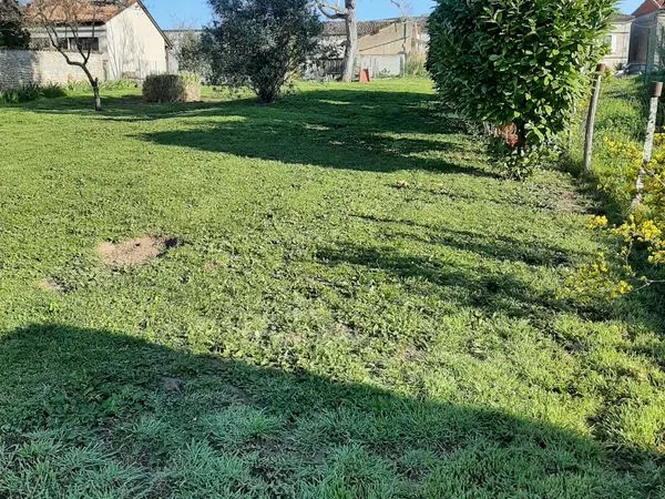 Terrain constructible