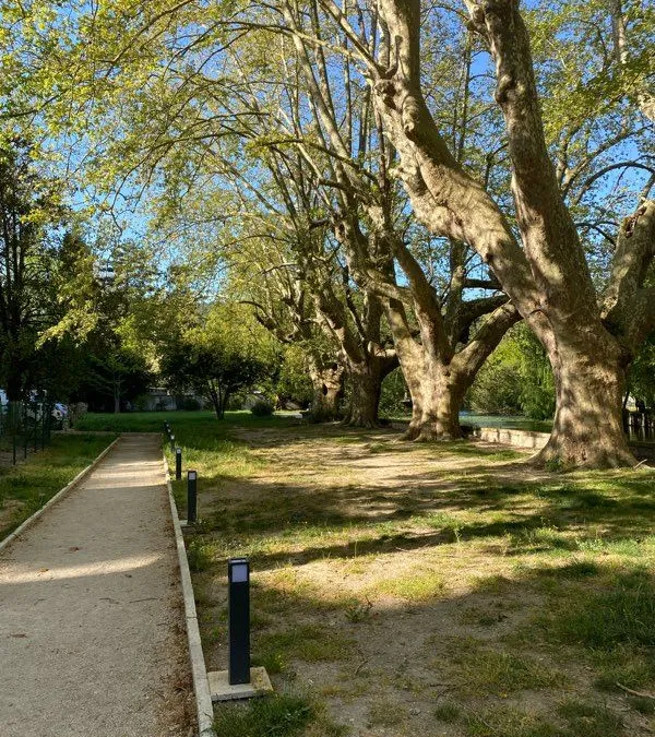 Photo 3