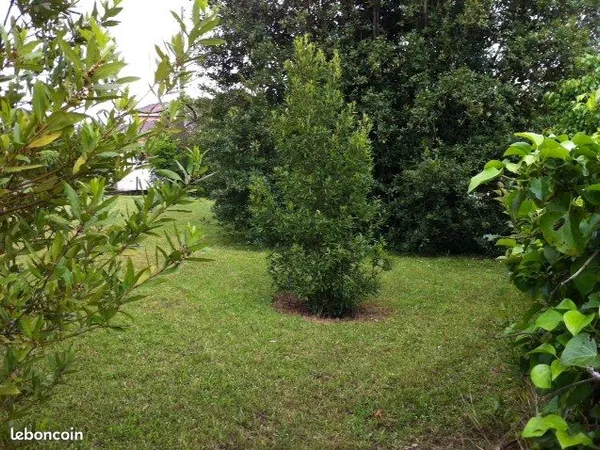 Terrain 500 m² Martillac