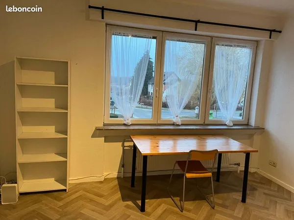 Colocation KOT Bruxelles
