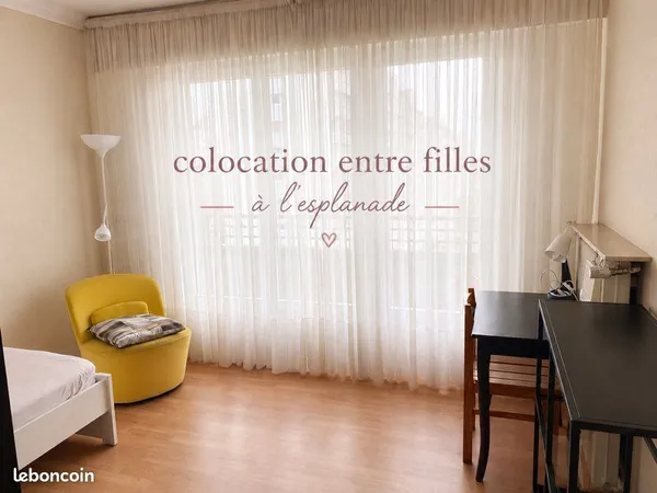 Colocation entre filles - Strasbourg Esplanade (Face aux facultés)
