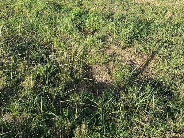 Vends terrain constructible