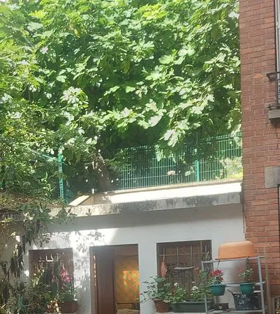 Chambre meublee dans cour Belleville