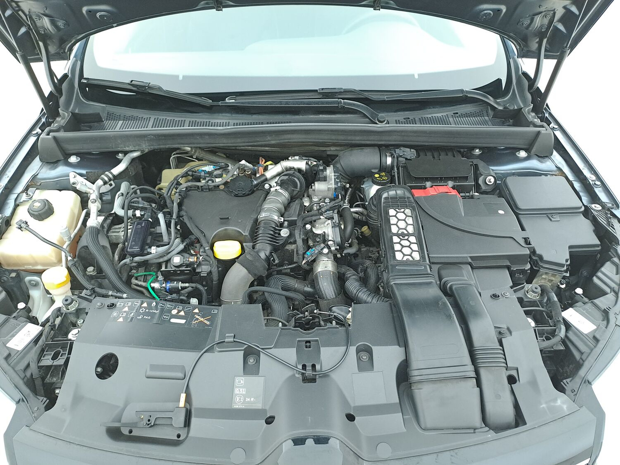 Renault Mégane 4 Estate — photo 21
