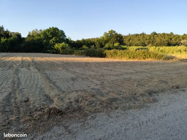Terrain agricole