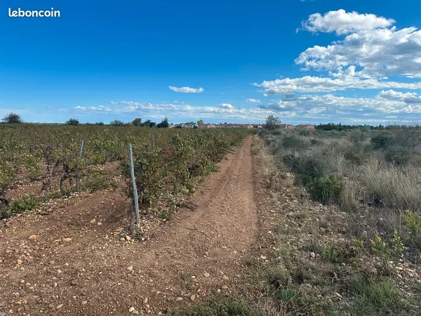 Terrain à bâtir - Claira - 152m²