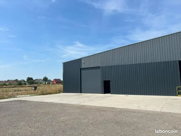 Local 300 m²