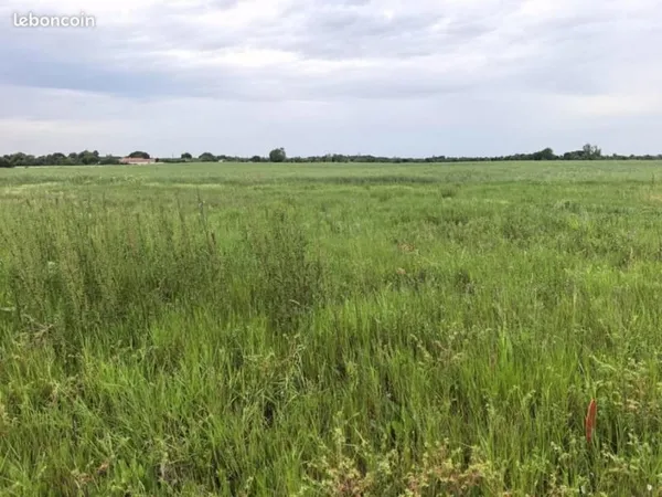 Terrain 516 m²