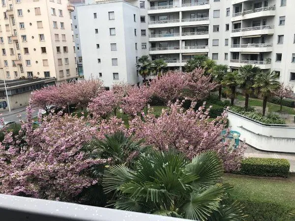 Appartement 2 pièces 63 m²