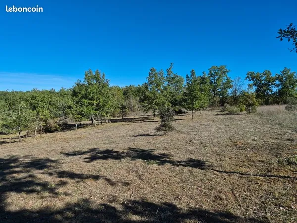 Terrain 3123 m2