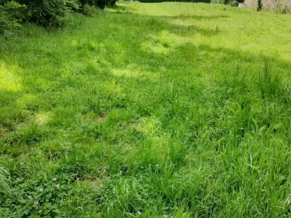 Terrain 1593 m²