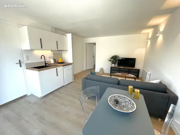 Appartement T2 36 m² Intégralement rénové Grande baie vitrée - Petite copropriété - Faibles charges