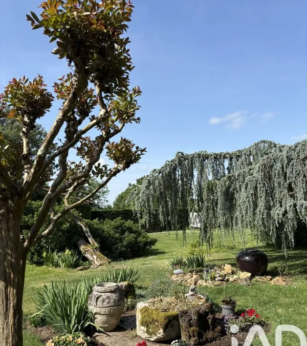 Photo 21
