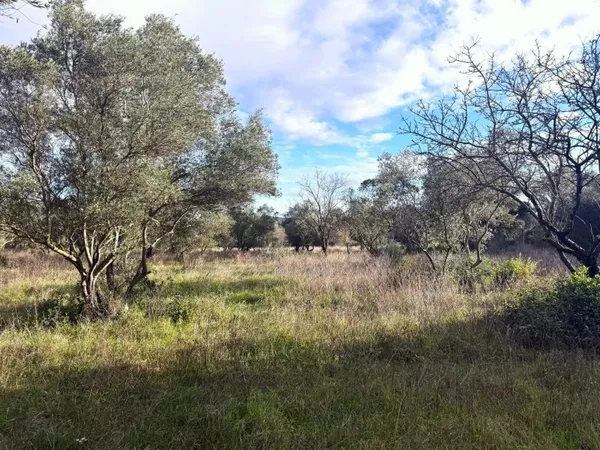Terrain 5000 m²