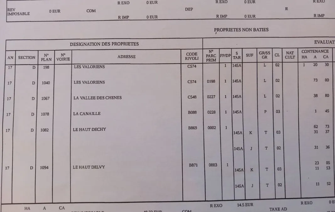 Photo 3