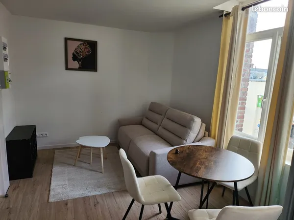 Appartement rénové plein centre-ville