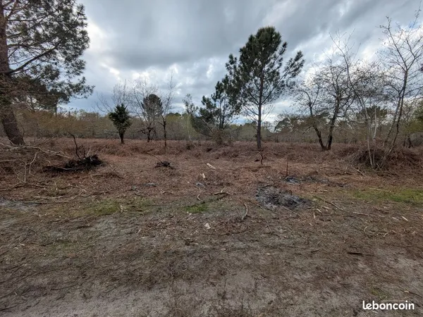 Terrain 9543 m² en zone N proche maisons