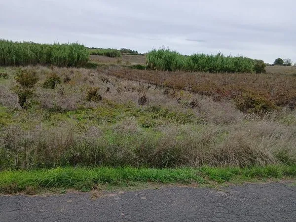 Terrain agricole