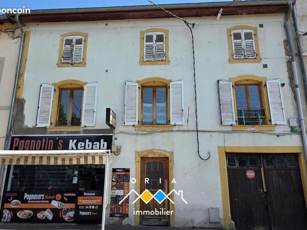 Immeuble de rapport 246 m²