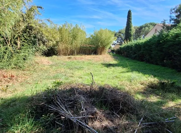 Terrain 564 m²