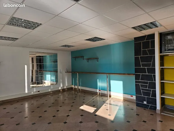Local professionnel