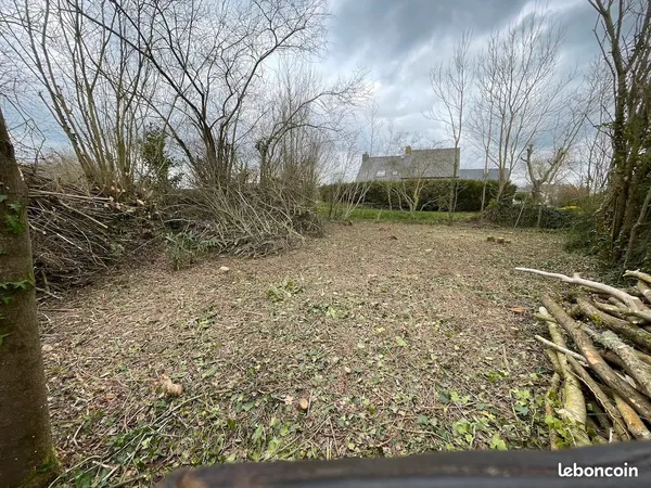 Terrain de 353 m² entouré d'arbres