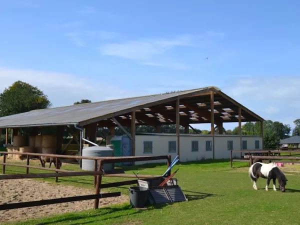 Terrain 11400 m²