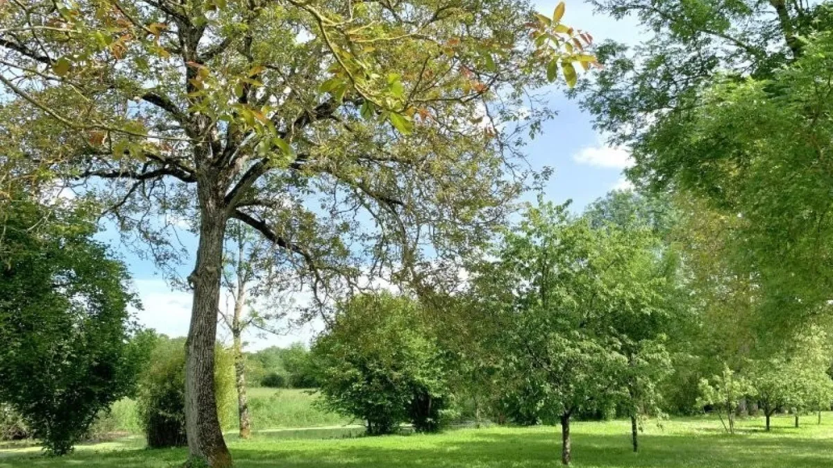 Photo 48