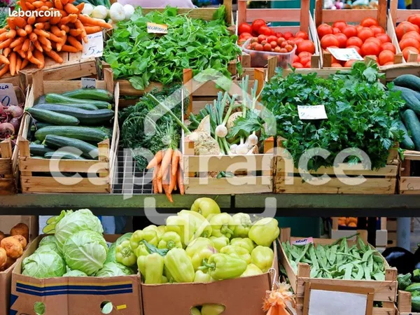Fonds de commerce alimentation, épicerie 70 m²
