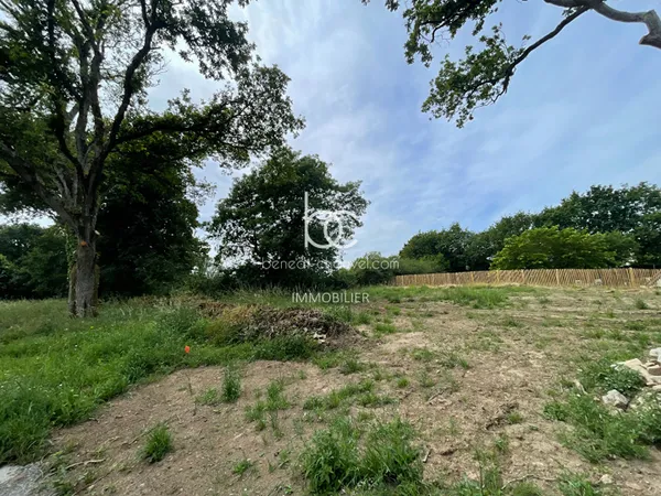 Terrain 561 m²