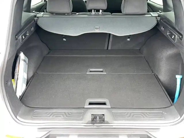 Renault Kadjar blue dci 115 edc — photo 45