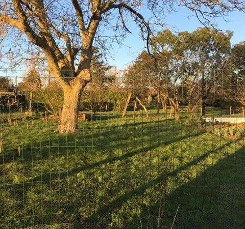 Terrain 901 m²
