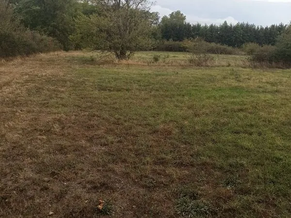 Terrain 6896 m² Revel