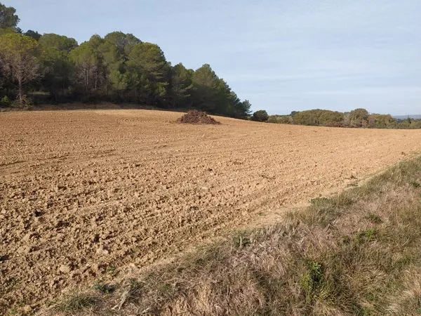 Terrain agricole