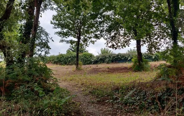 Terrain viabilisé constructible